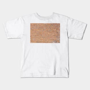 Old worn brick wall Kids T-Shirt